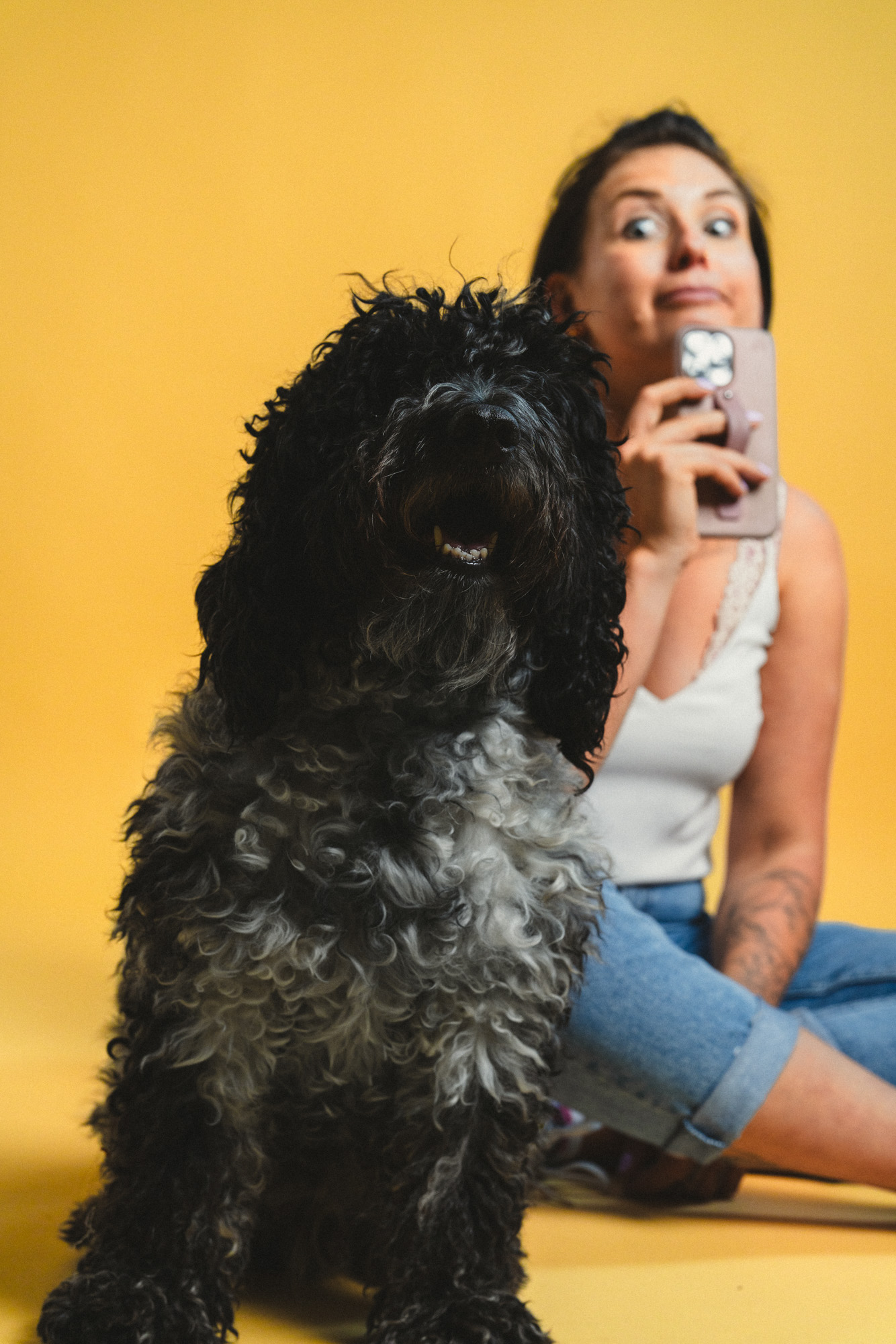 boxquadrat_Paula-Sidorczuk_2025 Foto von Hund Mango mit Paula Sidorczuk im Hintergrund, sitzend auf dem Boden mit Handy in der Hand, im boxquadrat Fotostudio 1160 Wien