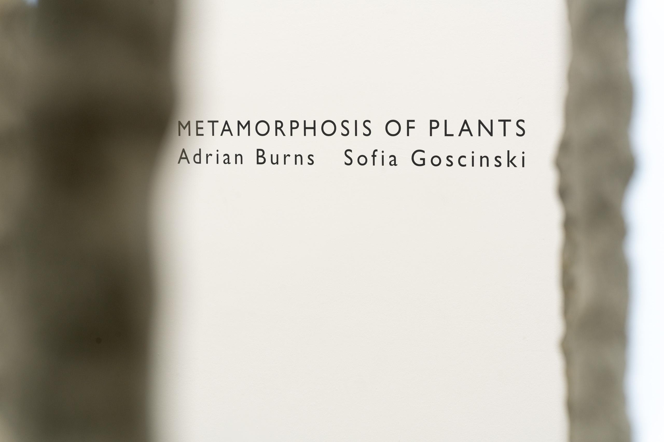 Metamorphosis of Plants Adrian Burns und Sofia Goscinski Ausstellungsfotografie